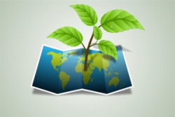 La responsabilità sociale nella green economy